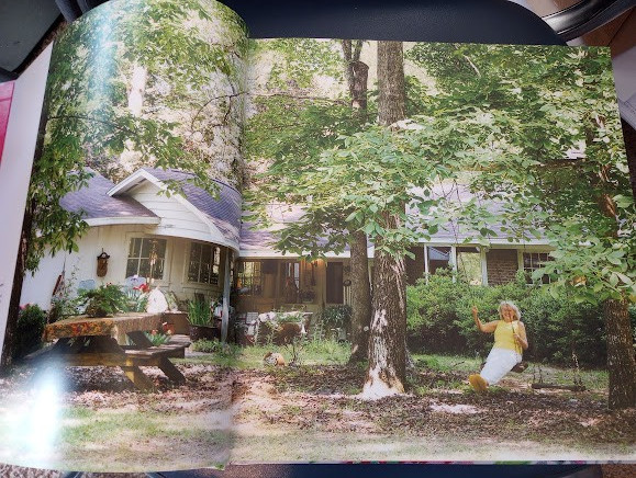 The Southern Mirror Brenda Gantt Stories Reflections LIfe in the South Cookbook