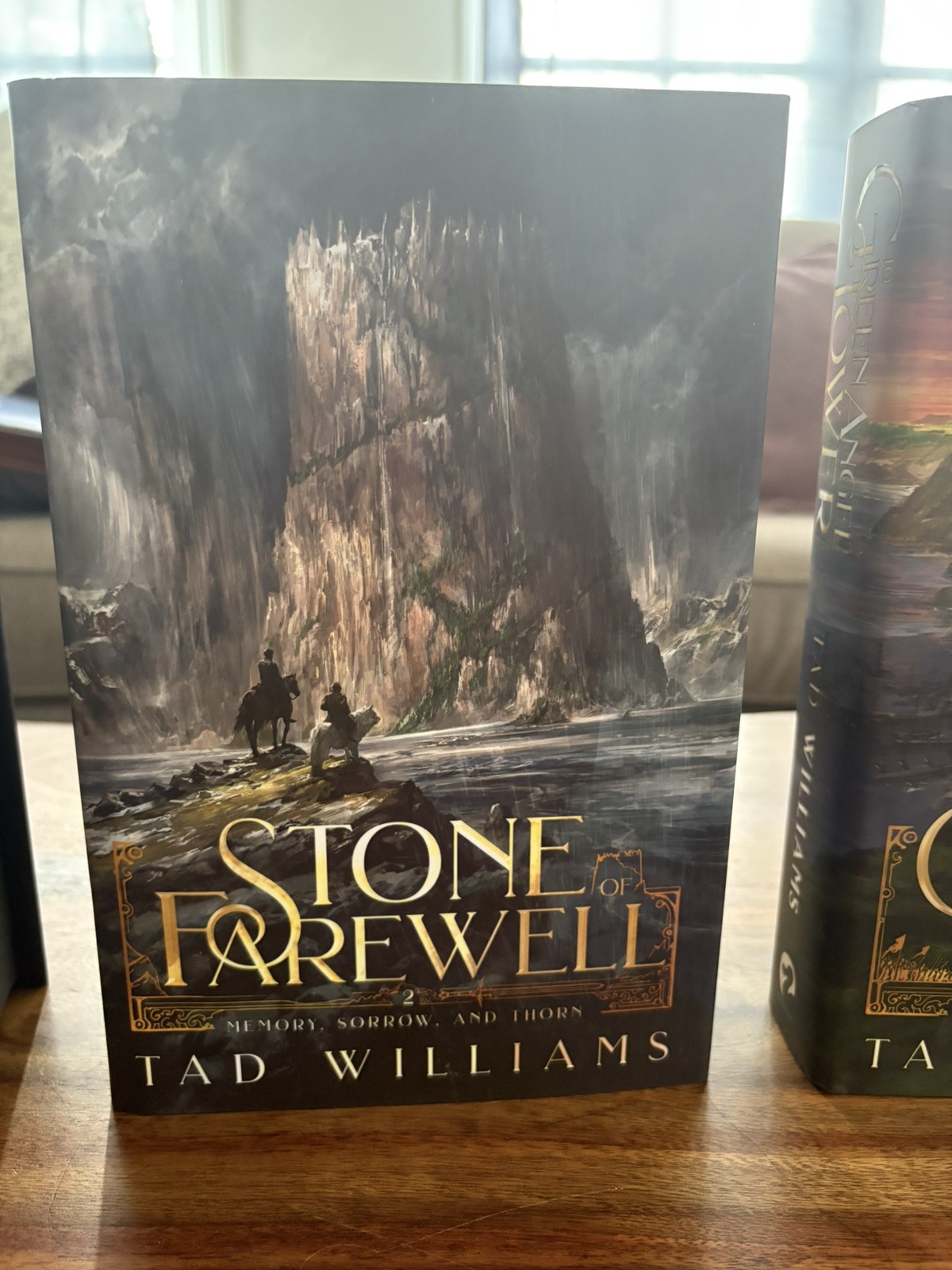 Memory, Sorrow, And Thorn by Tad William The Broken Binding (Tier 2)