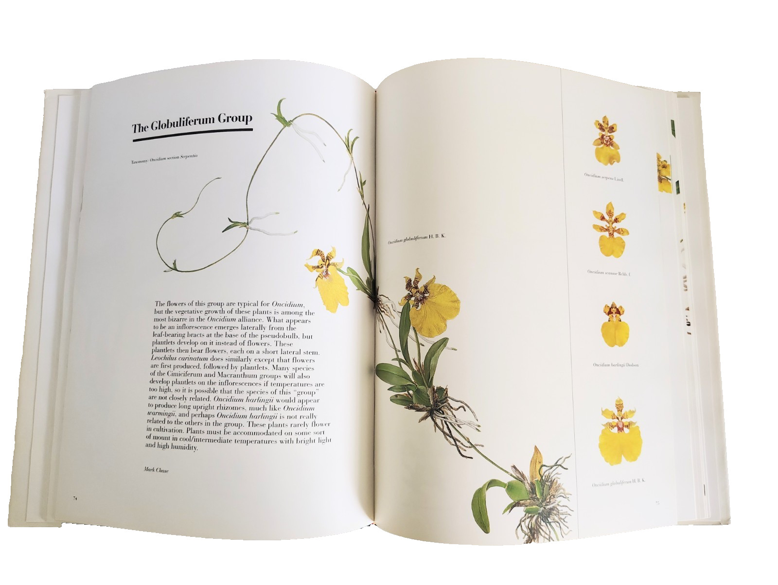 The Pictorial Encyclopedia of Oncidium, H Zelenko, Mark Chase (ed). 1997. 1st.Ed