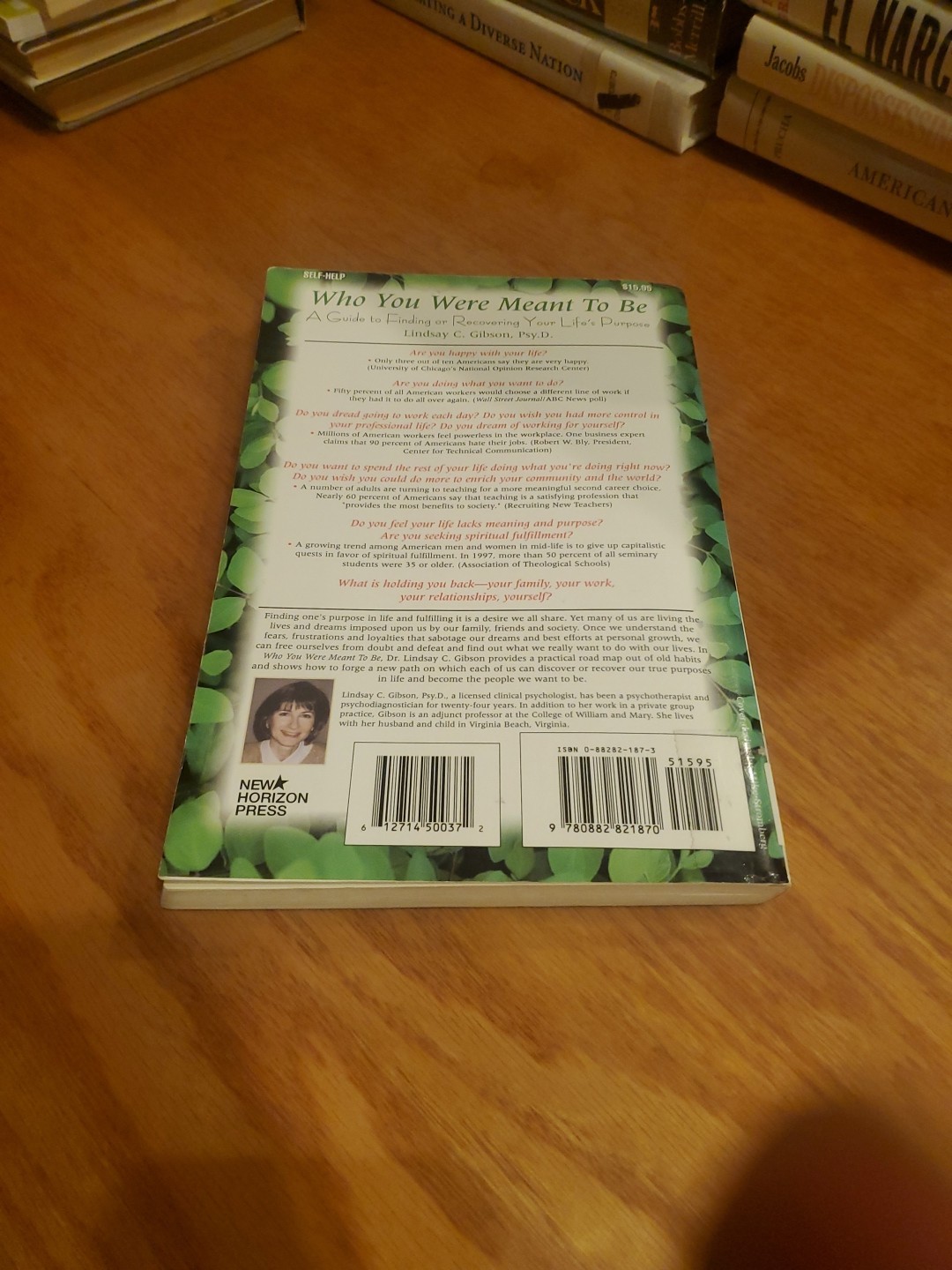 Who You Were Meant to Be: A Guide to Finding… by Linday Gibson 2000 PB