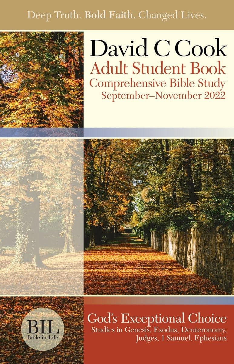 David C. Cook Bible-in-Life Adult Comprehensive Bible Study Regular Print St…