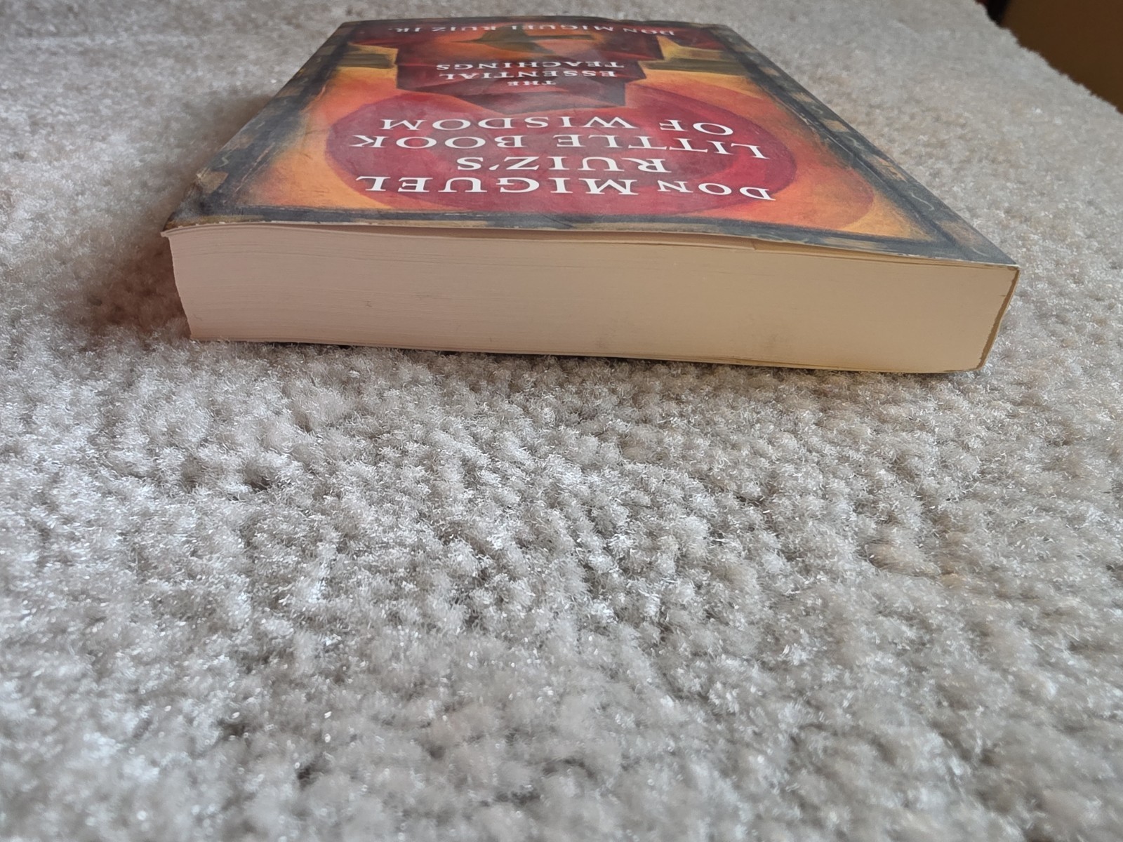 Don Miguel Ruiz Jr. Little Book of Wisdom Essential Teachings Toltec First Print