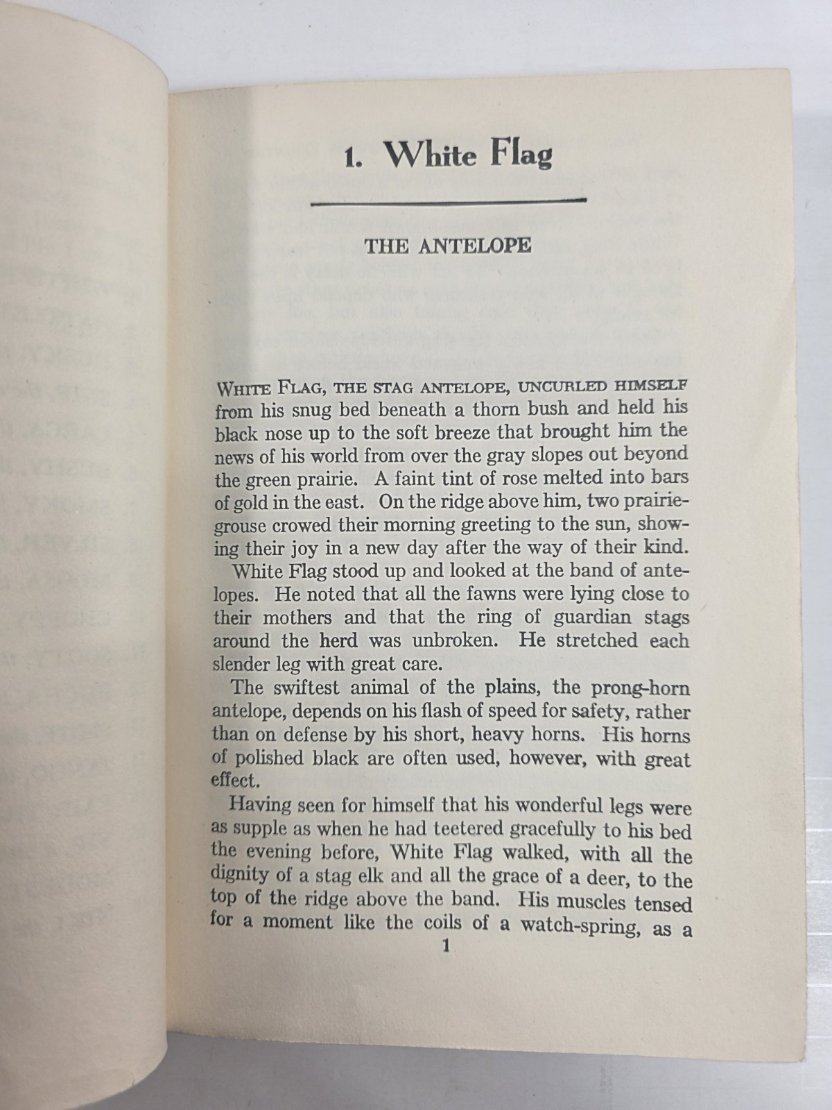 Wild Animals of the Five Rivers Country George Franklin 1947 Mary Ogden Abbott