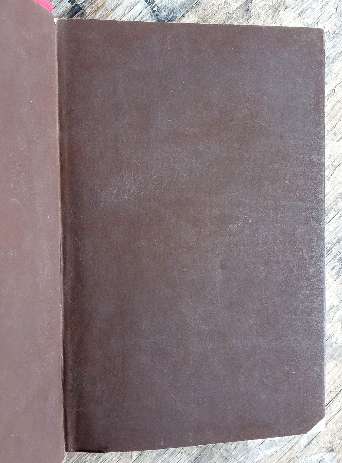 The Sacred Plains ~1856 Antique HC~ Headley Bible Geography Buffalo NY Illust