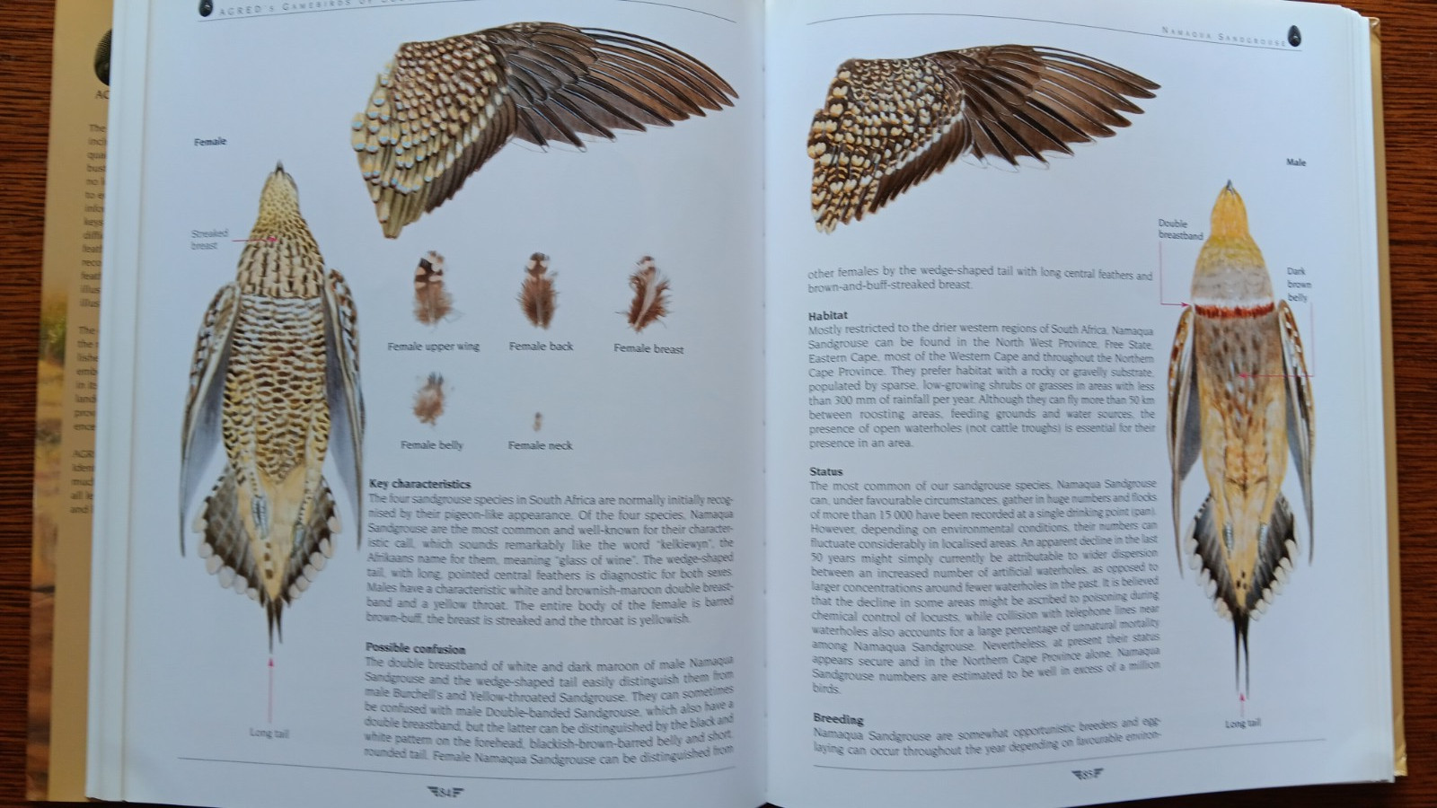 AGRED’s Gamebirds of South Africa : Field Identification and Management