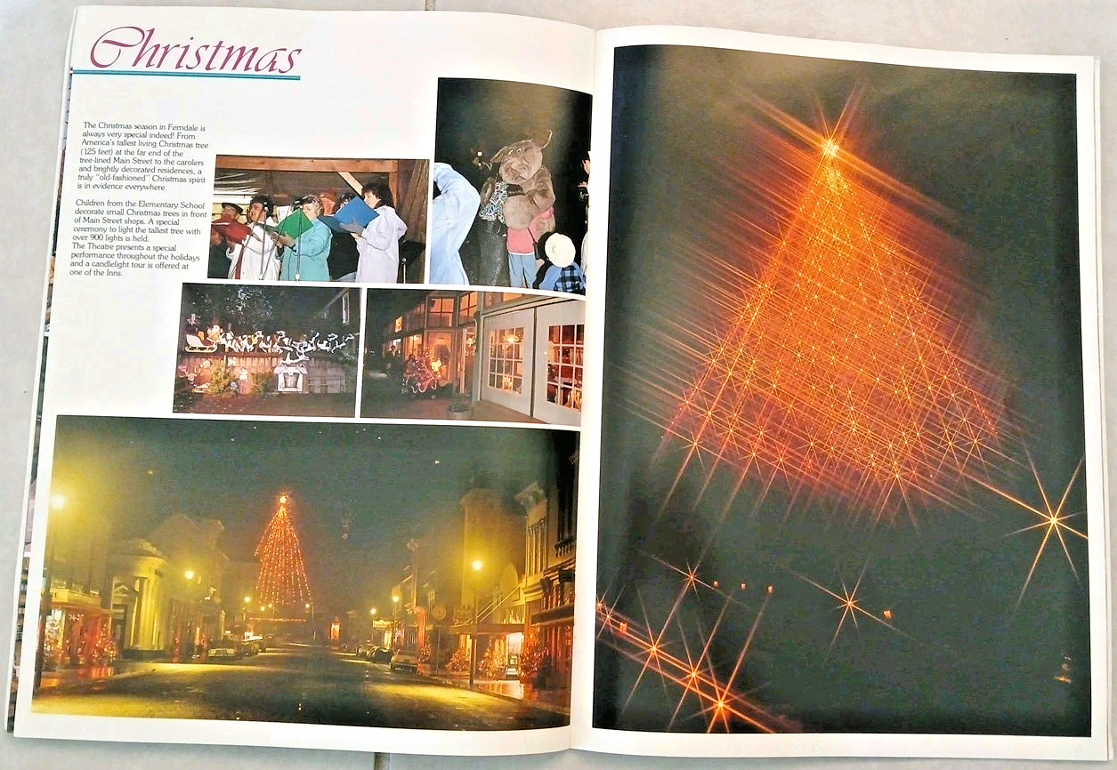 Vtg 30+ Pages Complete Guide Victorian Ferndale Historical Landmark #883 1990 Ed