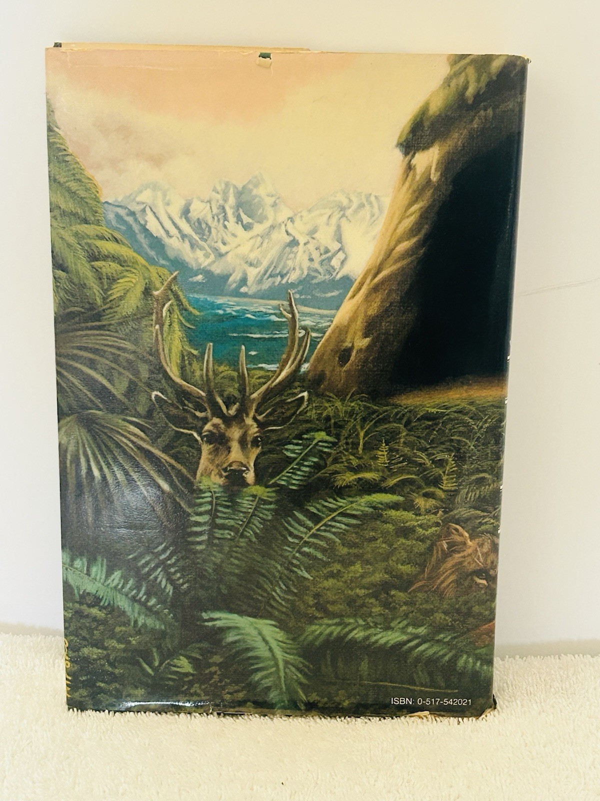 Clan Of The Cave Bear Jean M. Auel 1st Edition/1st Print HCDJ Earth’s Children
