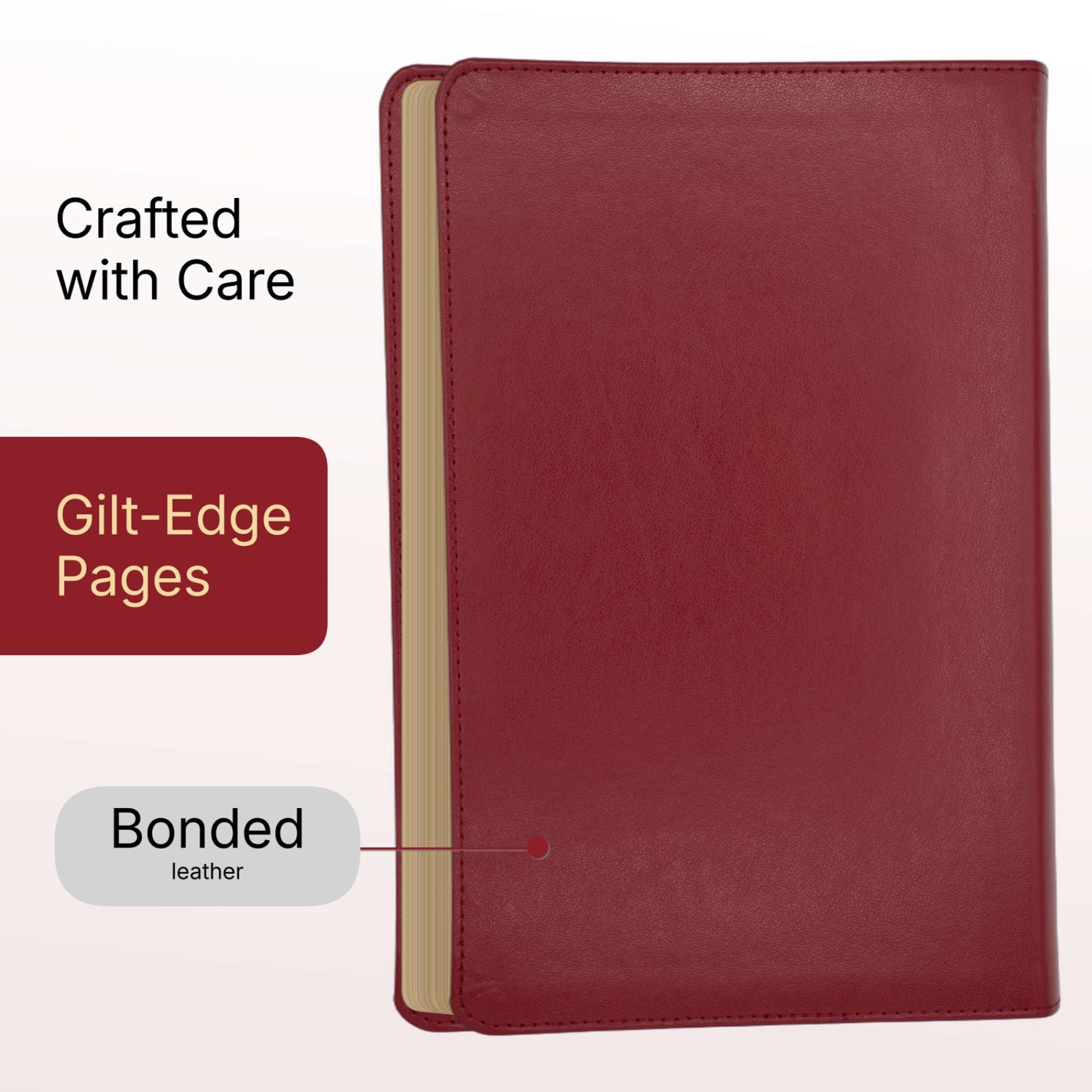 Red Louis Segond French Bible LARGE Print – LSG Bible Rouge en Français by SP