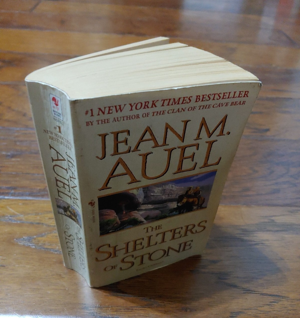 Earth’s Children Ser.: The Shelters of Stone : Earth’s Children, Book Five by…