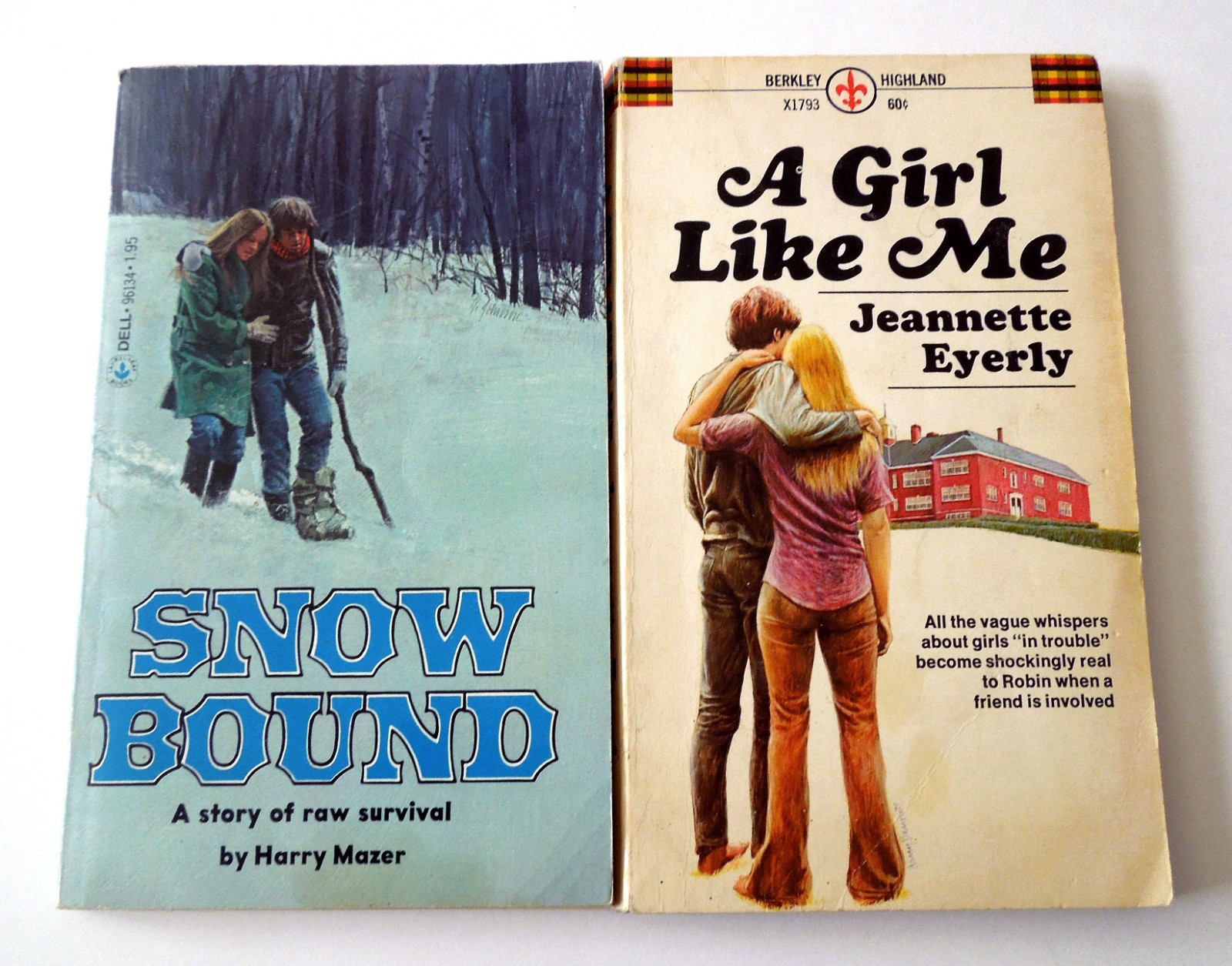 Lot of 20 Vintage 1970s Fiction Pocketbooks: Snow Bound, Being There, +18