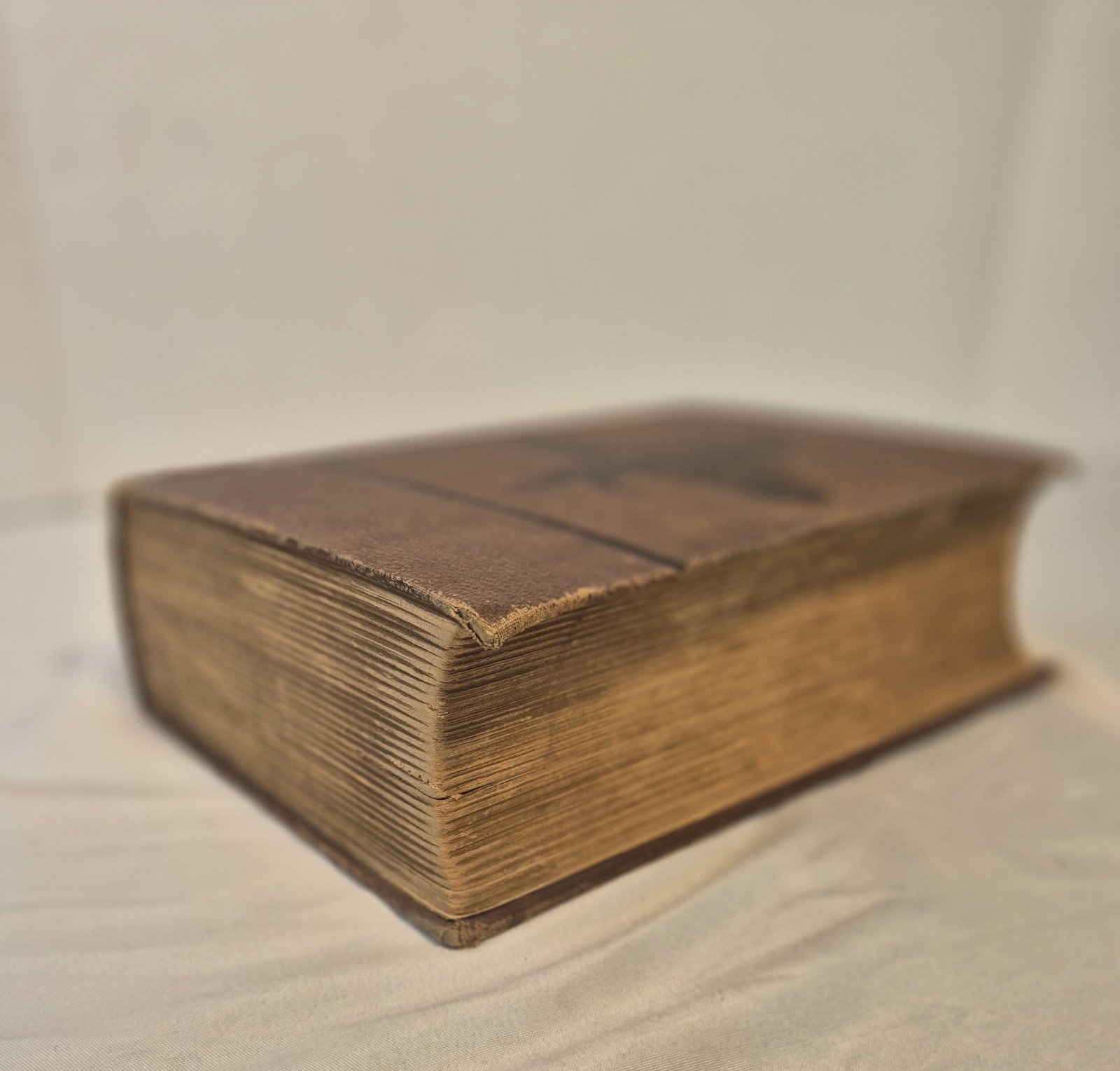 1887 Our Family Physician Book Hard Cover Medical Guide Treatment Of Disease