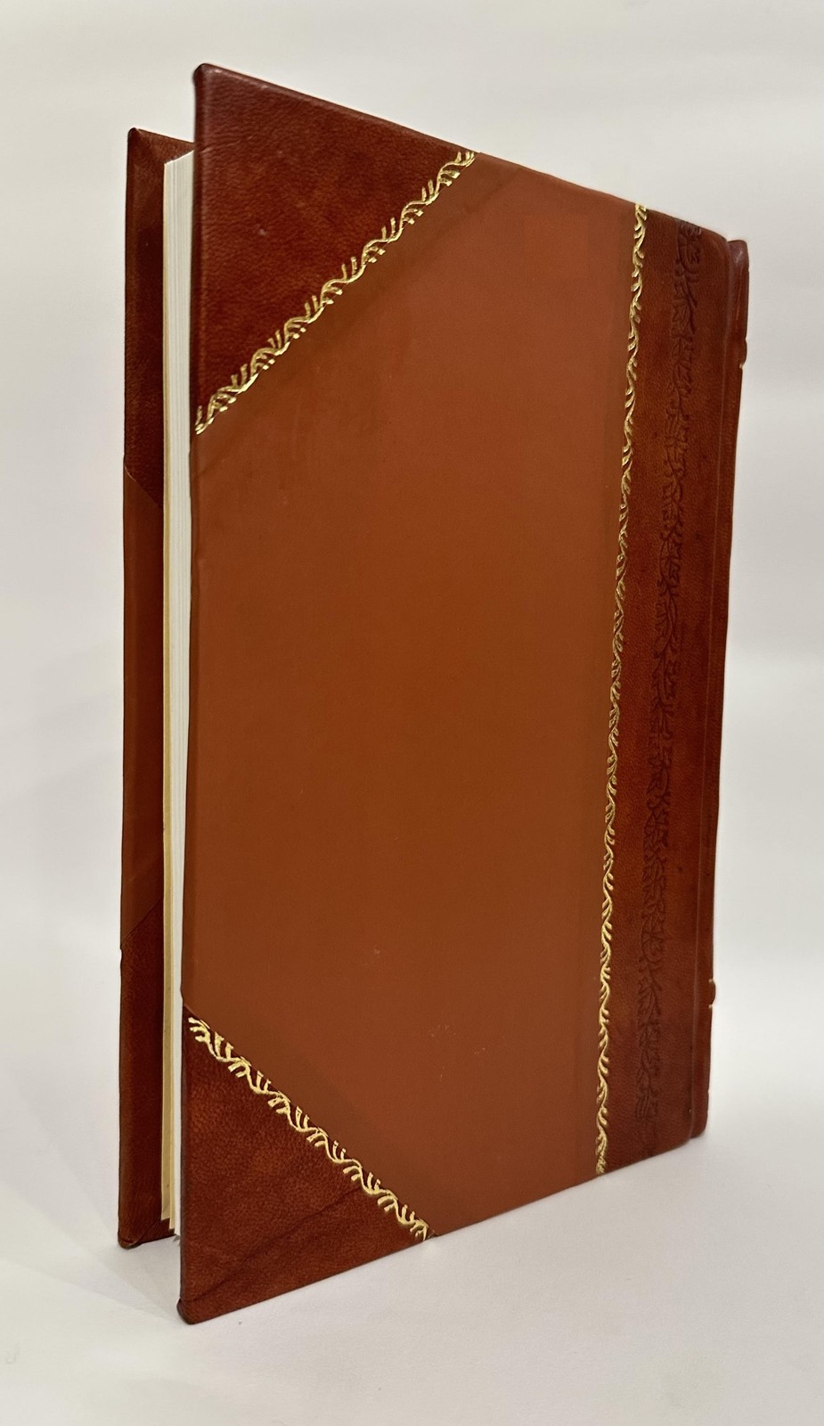 The Astrologer of the Nineteenth Century by Raphael, [Leather Bound]