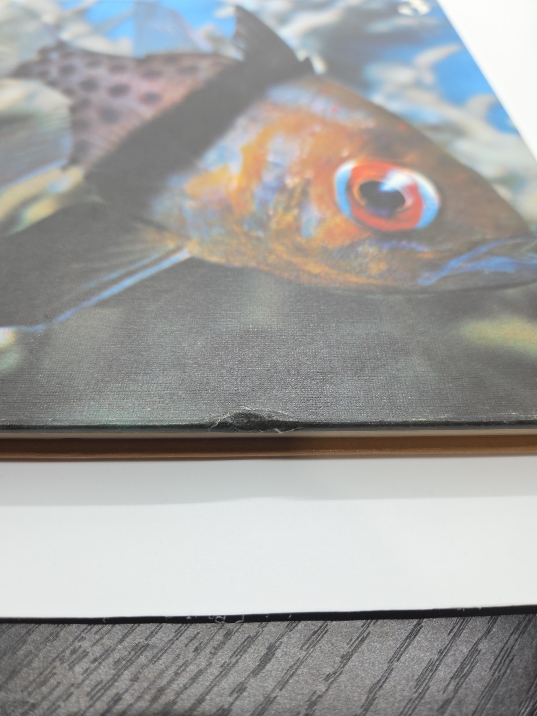 Vintage Funk and & Wagnalls Wildlife Encyclopedia Volume 3 Hardcover 1974