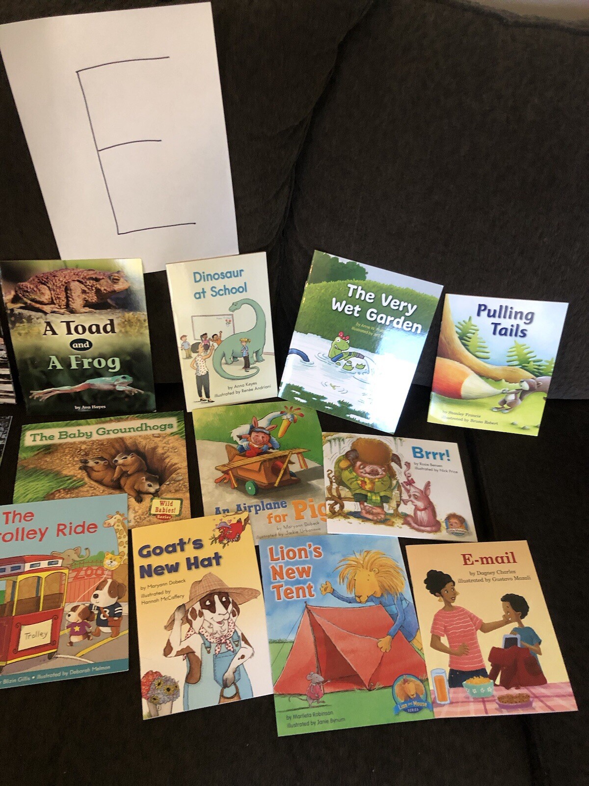 First Grade Reading Books — HOME SCHOOL — Grade 1 Like New 10 Different $15