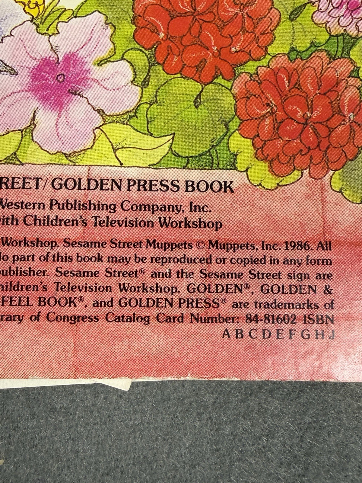 Vintage 1986 Sesame Street Who’s Hiding Golden Touch Feel Book