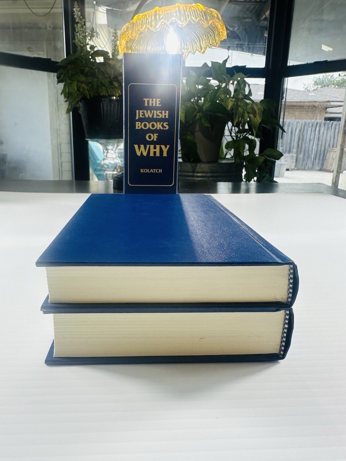 The Jewish Book of Why and Second Book by Alfred J. Kolatch 2 Book Box Set