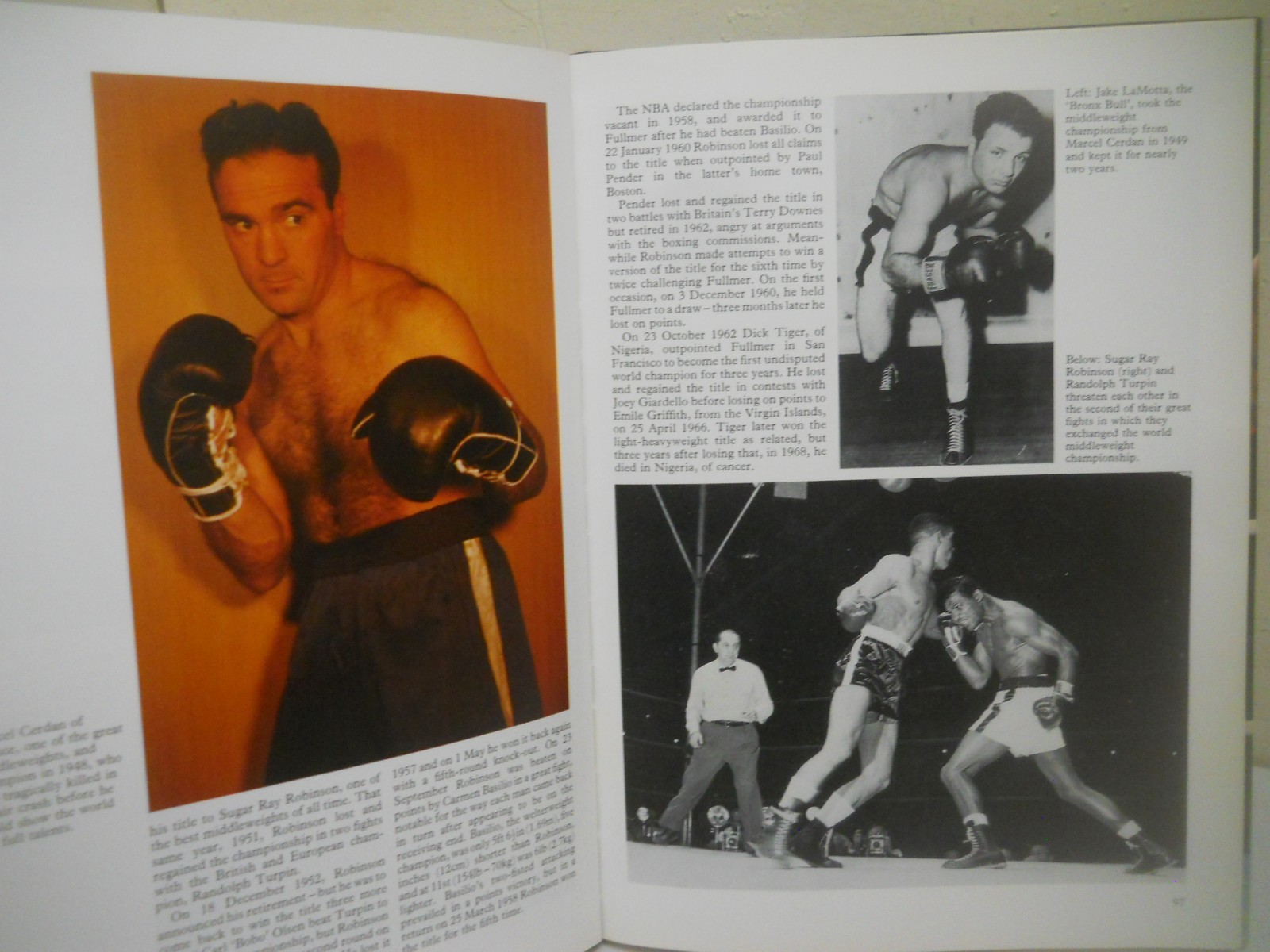 The History of Boxing / ARNOLD PETER~ Oversize HC no wear on boards~ Ships Boxed