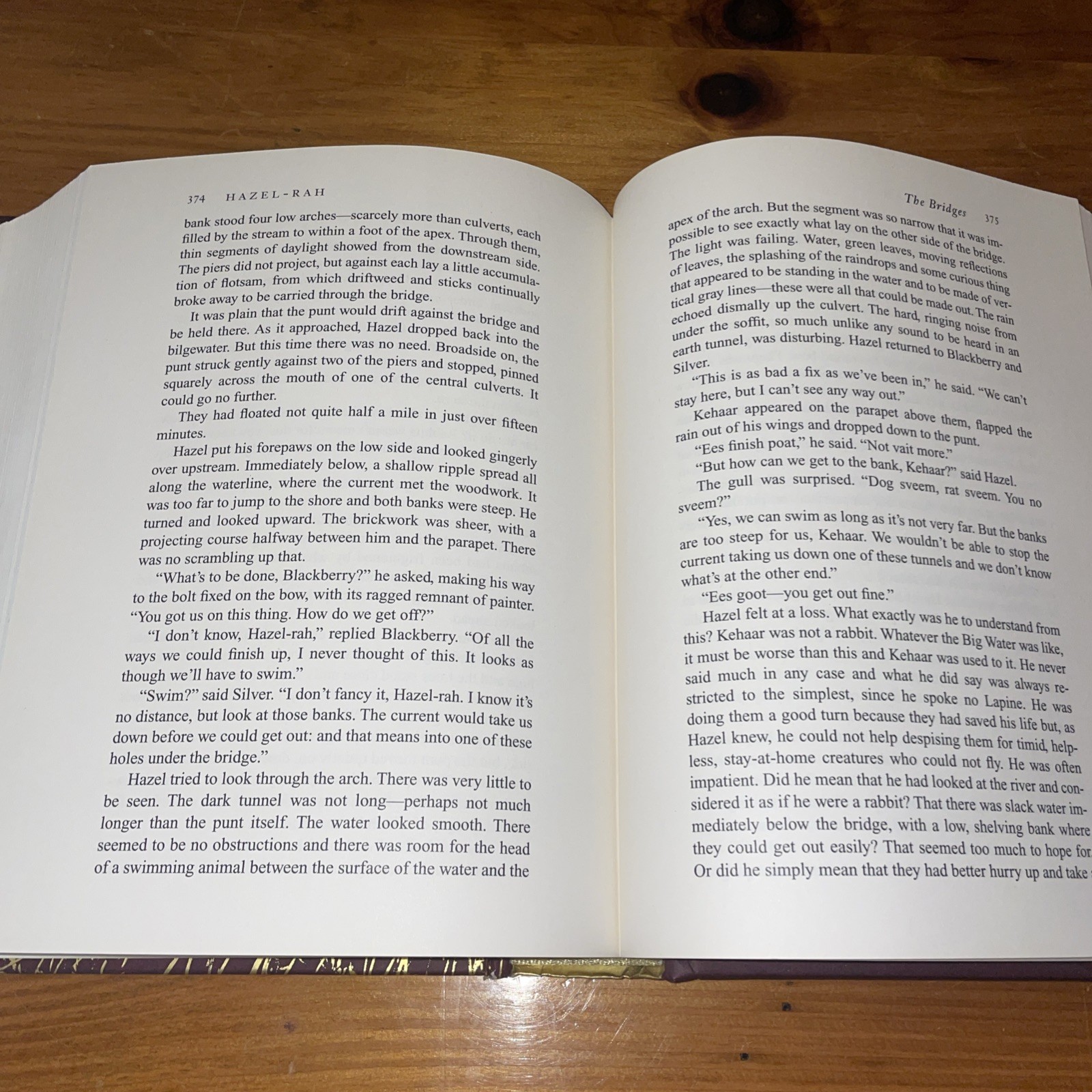 WATERSHIP DOWN Richard Adams & Aldo Galli 2012 Atheneum HB