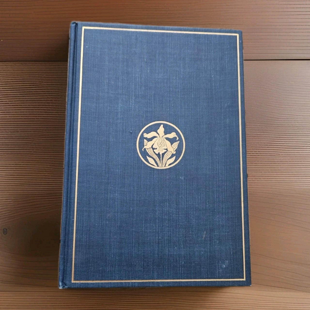 1901. AFTERGLOW by Julia C R Dorr | Antique 1st Edition HC Poetry Book Gorgeous