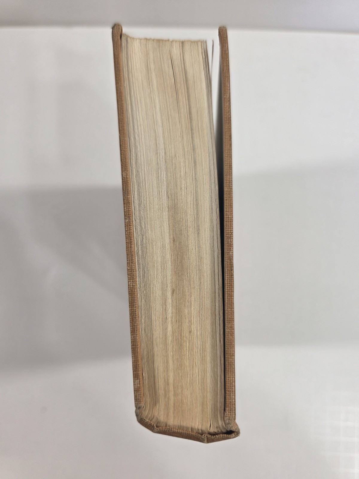 Wild Animals of the Five Rivers Country George Franklin 1947 Mary Ogden Abbott