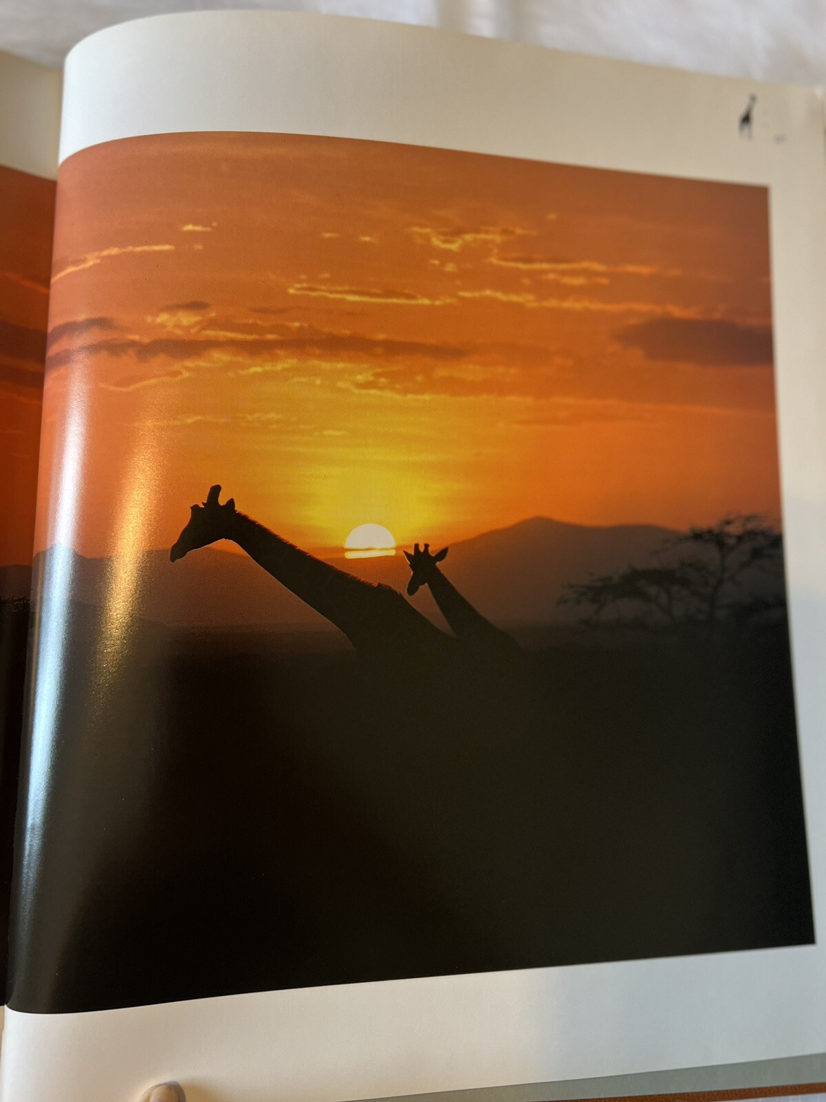 Rare -Special Edition 390/1000: Images of Nature – Signed by Thomas D. Mangelsen