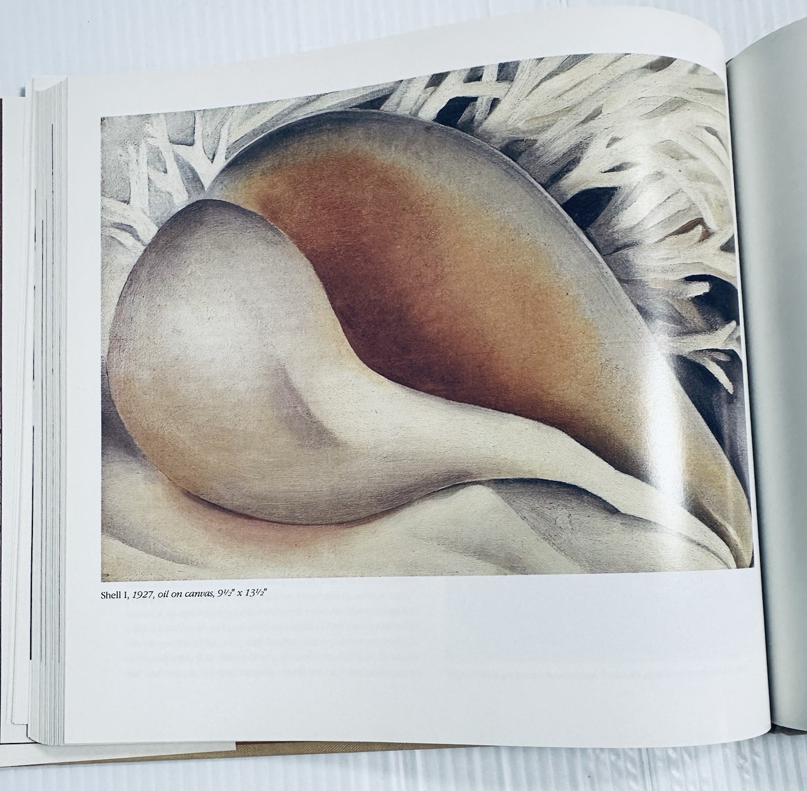 Georgia O Keeffe Art and Life Castro Book with 136 Color Illustrations Edition