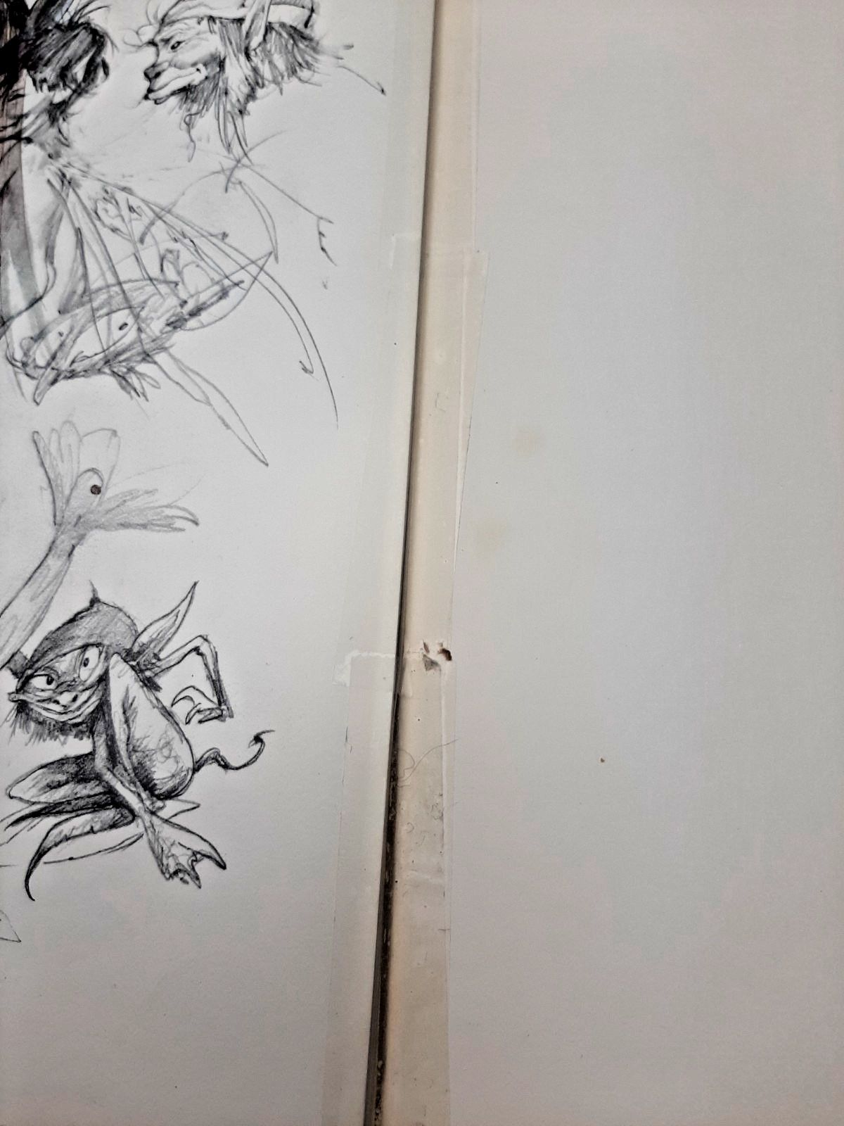 Vintage Faeries Book 1978 First Edition Printing Brian Froud Mythical Fairy Art