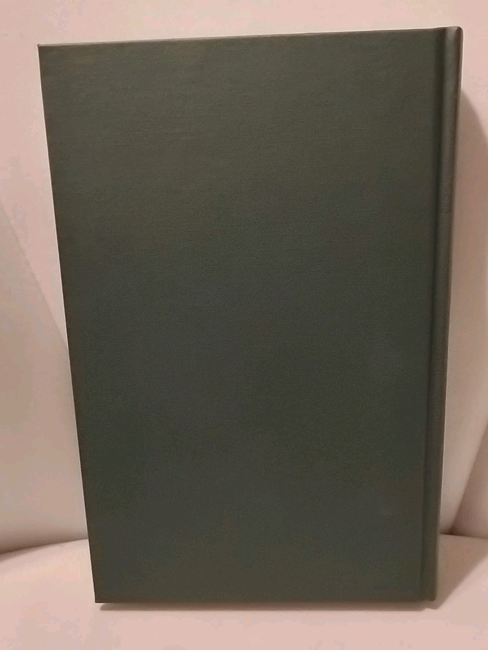 B. Traven : A Vision of Mexico, By Heidi Zogbaum, 1st Ed., DJ, 1992