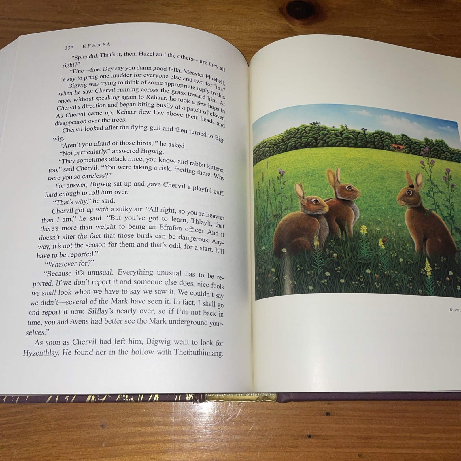 WATERSHIP DOWN Richard Adams & Aldo Galli 2012 Atheneum HB