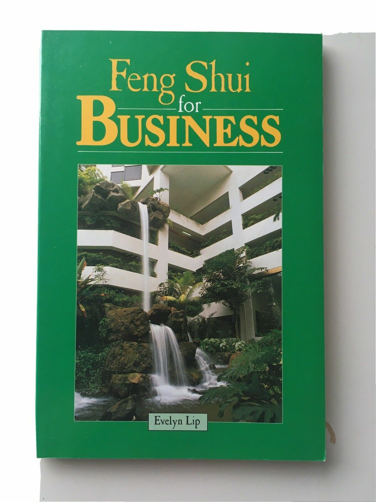 Feng Shui for Business by Evelyn Lip (1990 Paperback.