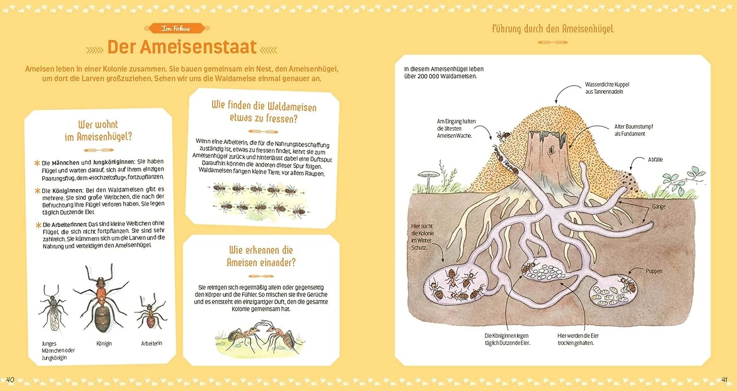 Nathalie Tordjm Das große Buch der kleinen Tiere: Wunders (Hardback) (UK IMPORT)
