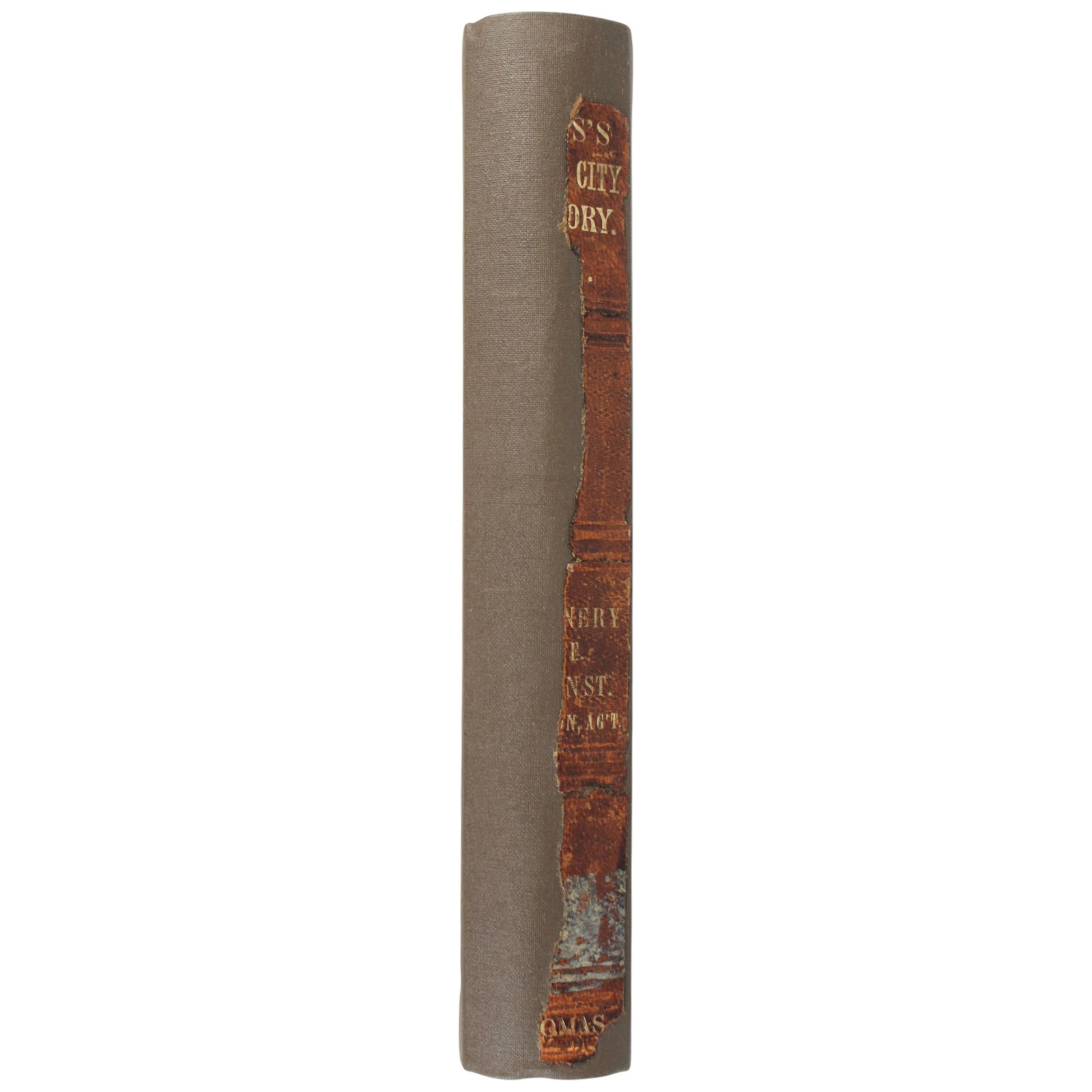 1862 CIVIL WAR BUFFALO Directory Underground Railroad GROVER CLEVELAND Fillmore