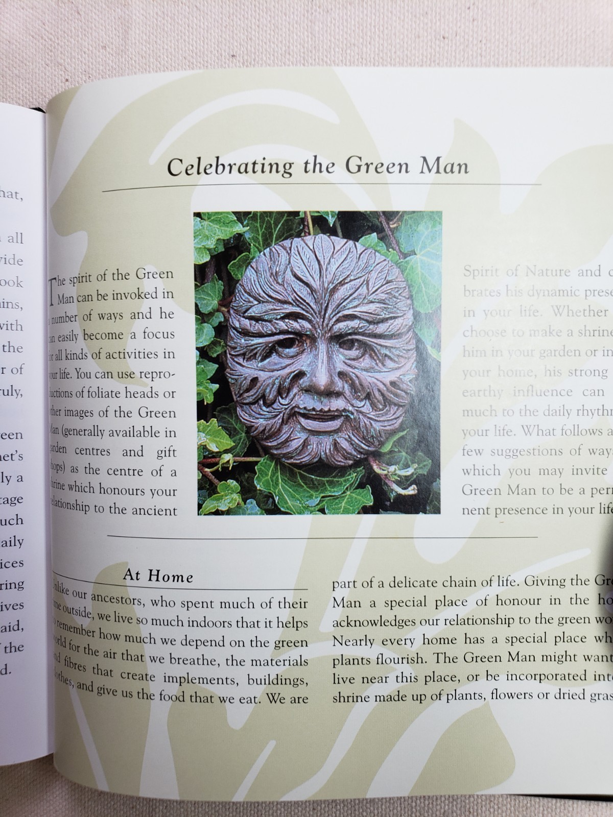 The Green Man: Spirit of Nature- plaque & book kit