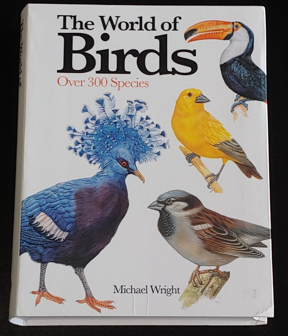 Mini Encyclopedia Ser.: The World of Birds : Over 300 Species by Michael Wright