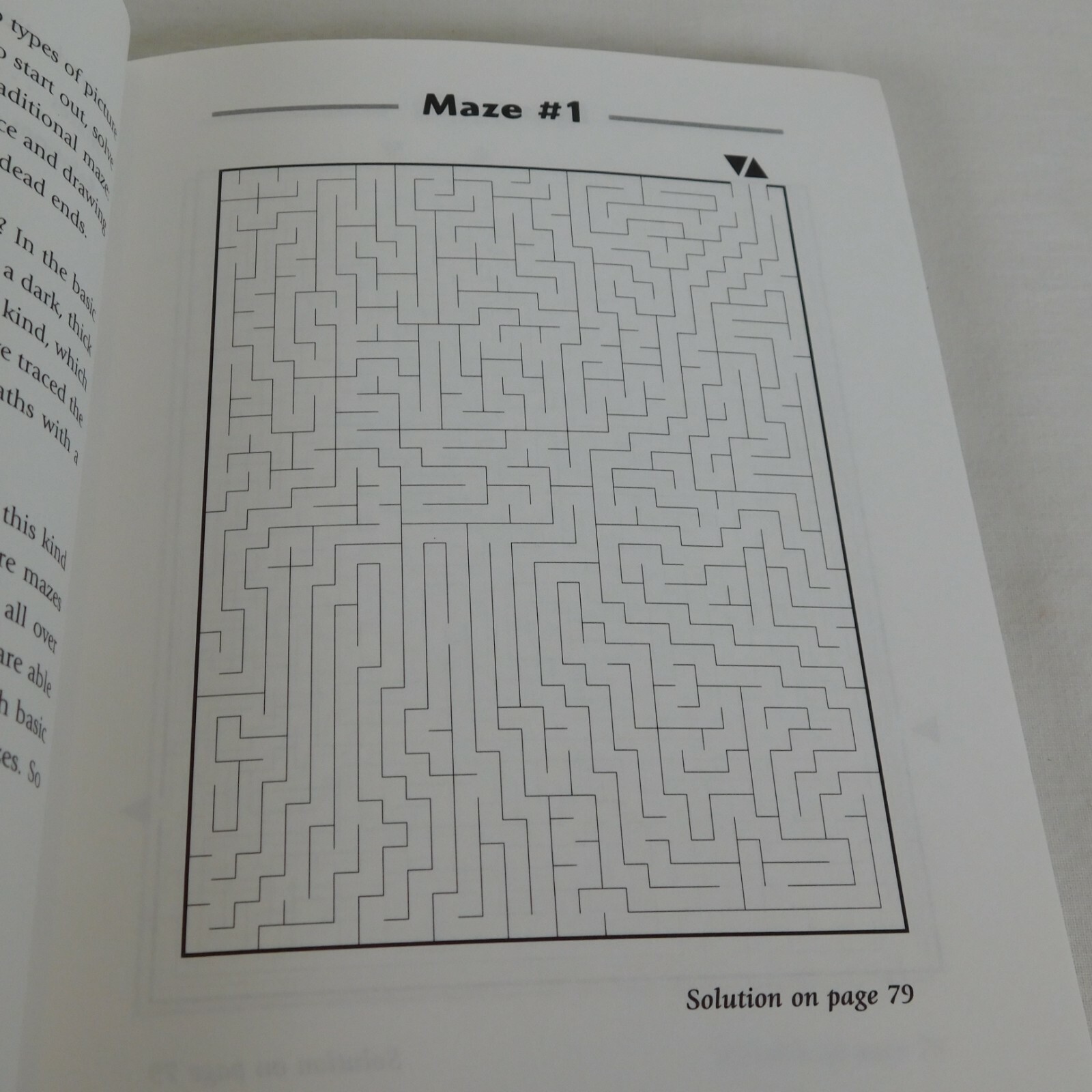 Picture This! Mazes Conceptis Puzzles 2005 Completed Mazes Create a Picture Kids