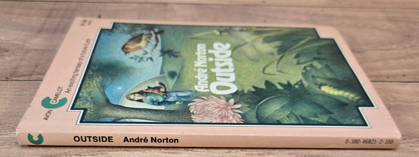 Outside Andre Norton 1976 Camelot PB 2nd Printing Juvenile Fantasy Illustrated