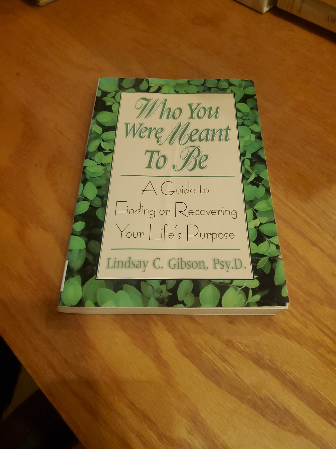 Who You Were Meant to Be: A Guide to Finding… by Linday Gibson 2000 PB