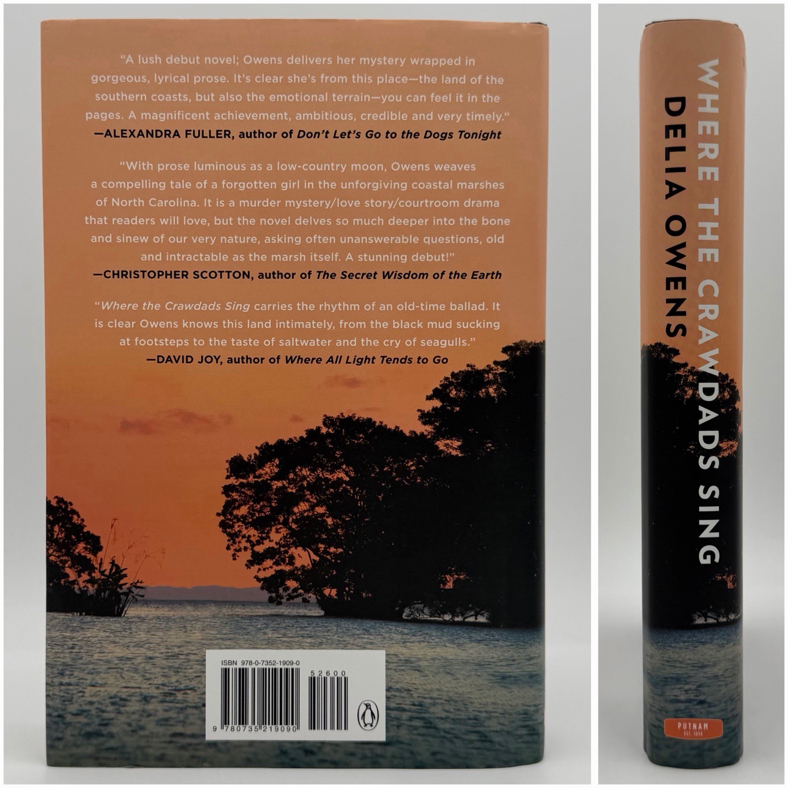Where the Crawdads Sing – Delia Owens (1st edition 1st print, CLEAN) Putnam 2018
