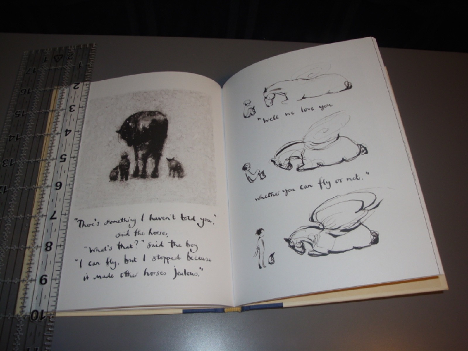 The Boy The Mole The Fox and the Horse Hardcover Charlie Mackesy Philosophy Art