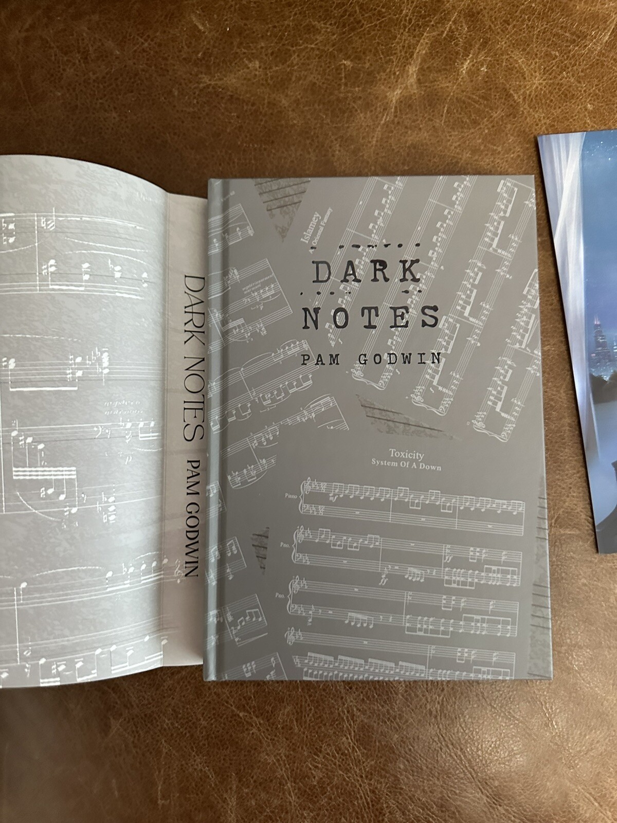 Books for Days Crate Special Edition of Dark Notes by Pam Godwin – Signed