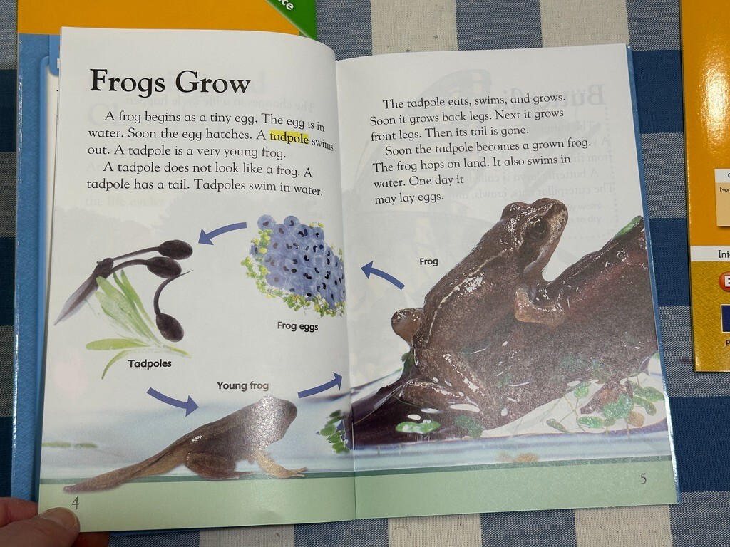Lot 9 ALL DK Readers Interactive Science ELL Reading Support Homeschool Lv 1