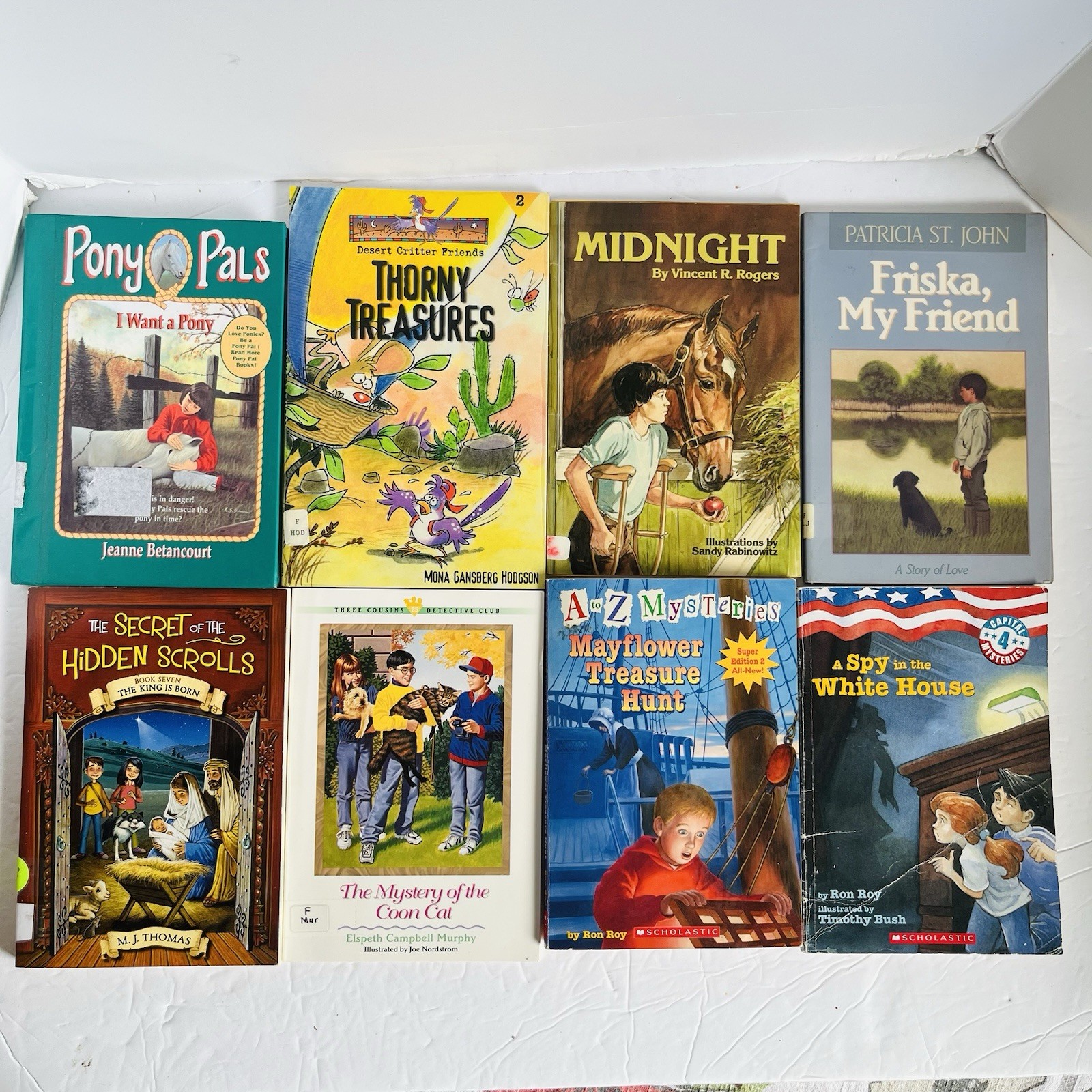 Lot of 10 Chapter Books Mixed Lot 2nd 3rd Grade Fiction Classroom Library Set