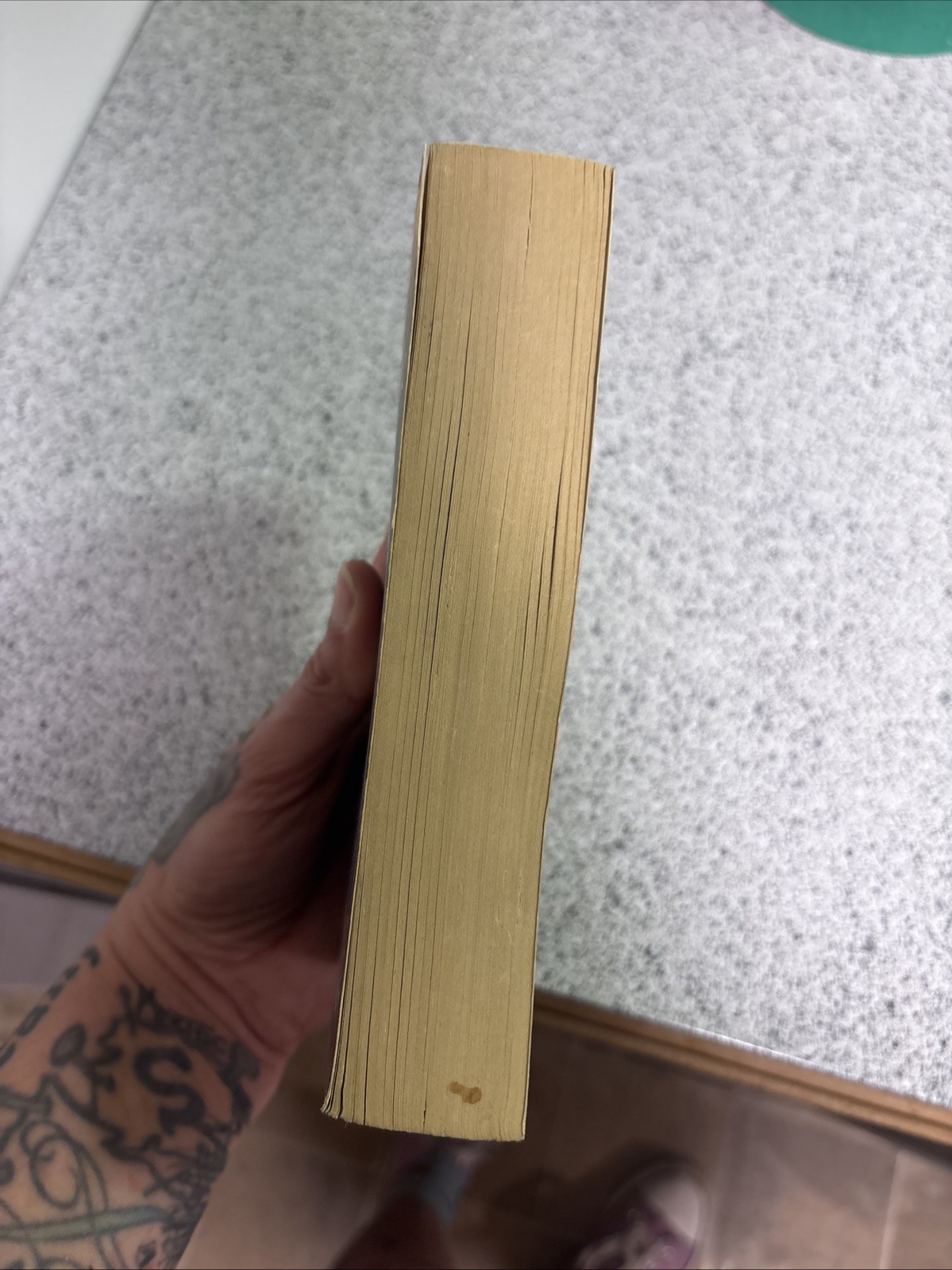 Perdido Street Station by China Miéville (2003, Mass Market)