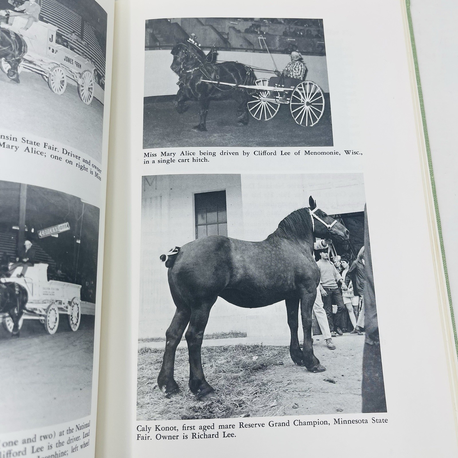 Gentle Giants Story of Draft Horses Stanley M. Jepsen 1973 HC 2nd Print Photos
