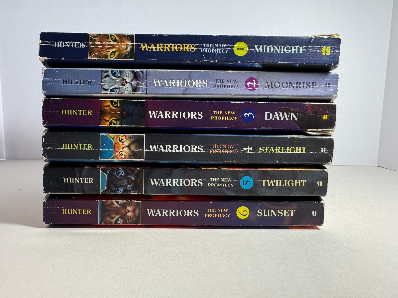 Warriors The New Prophecy First Edition Set 1-6 – Erin Hunter Paperback