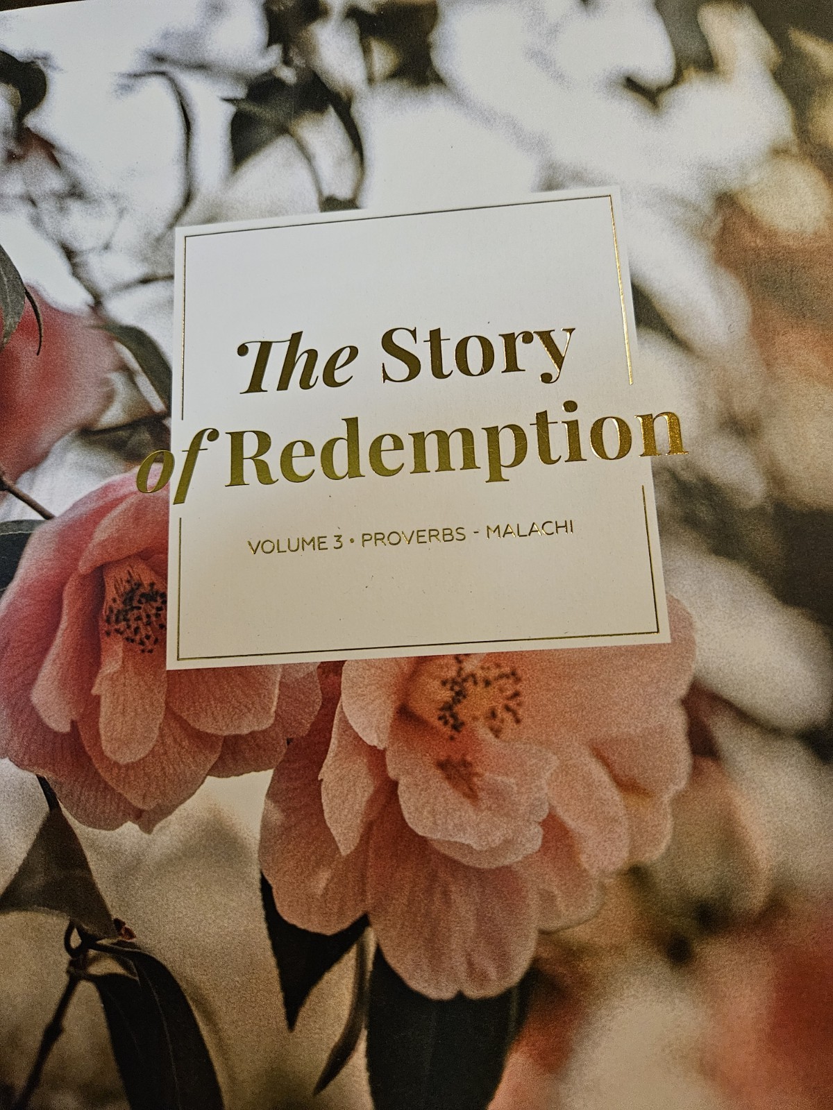 The Daily Grace Co Story Of Redemption Volumes 1-3 Paperback