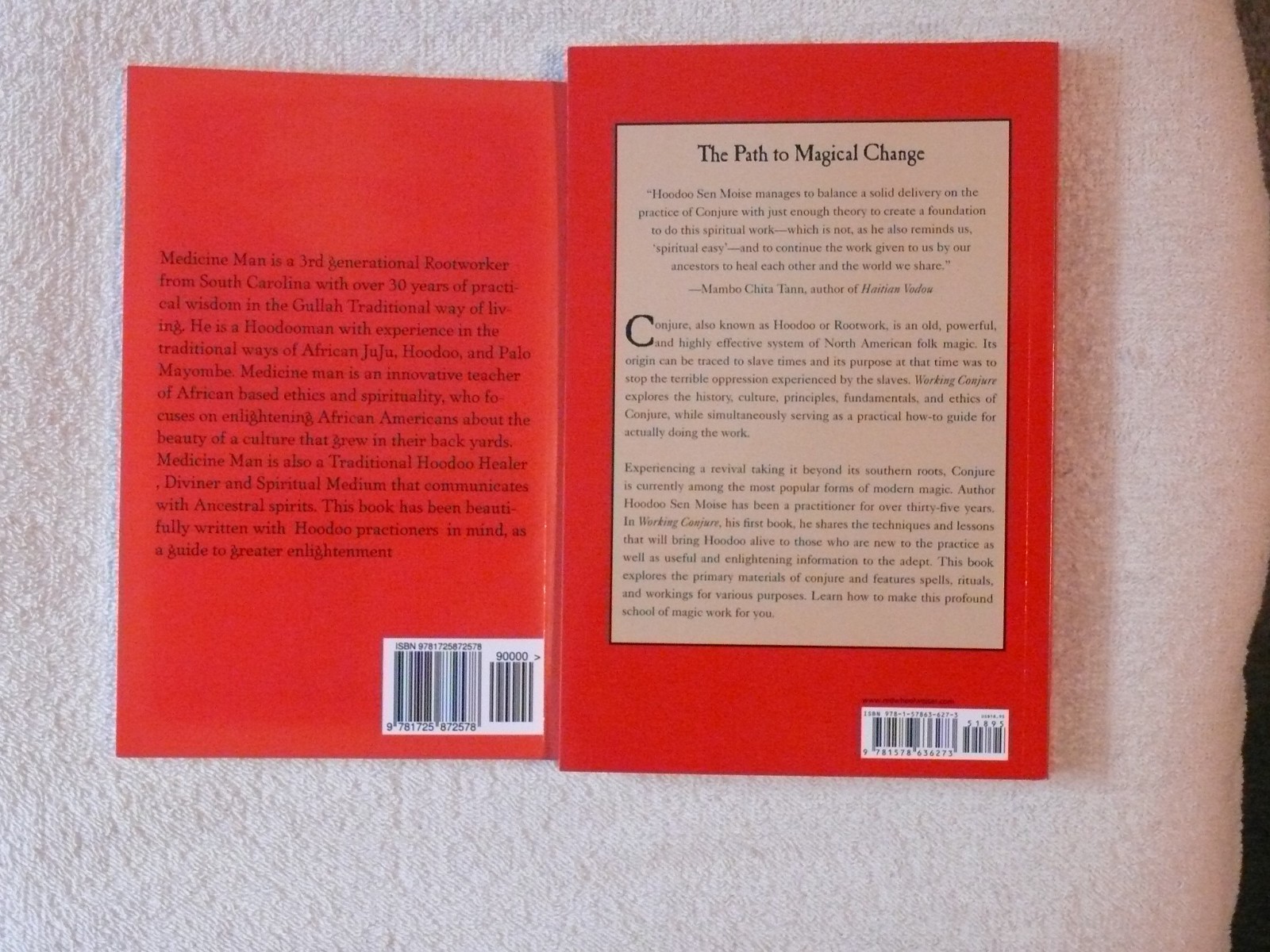 Wurkn Dem Rootz: Ancestral Hoodoo & Working Conjure Guide to Hoodoo Folk Magic