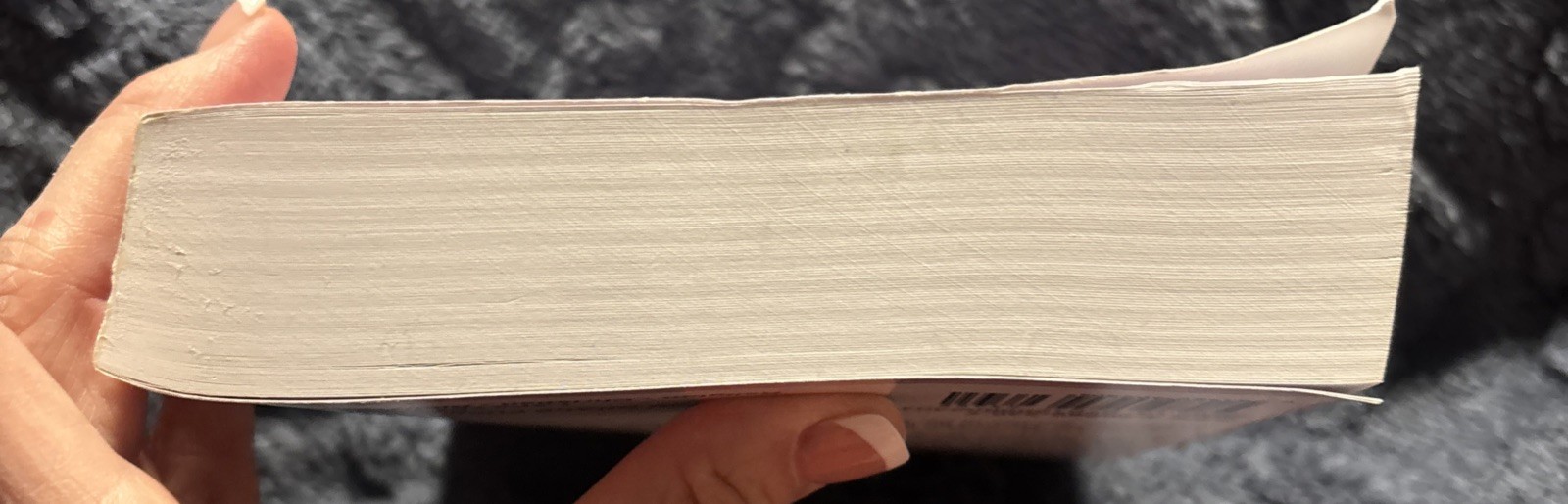 W Pink’s Studies in the Scriptures – 1922-23 by Arthur W. Pink (2001, Trade…