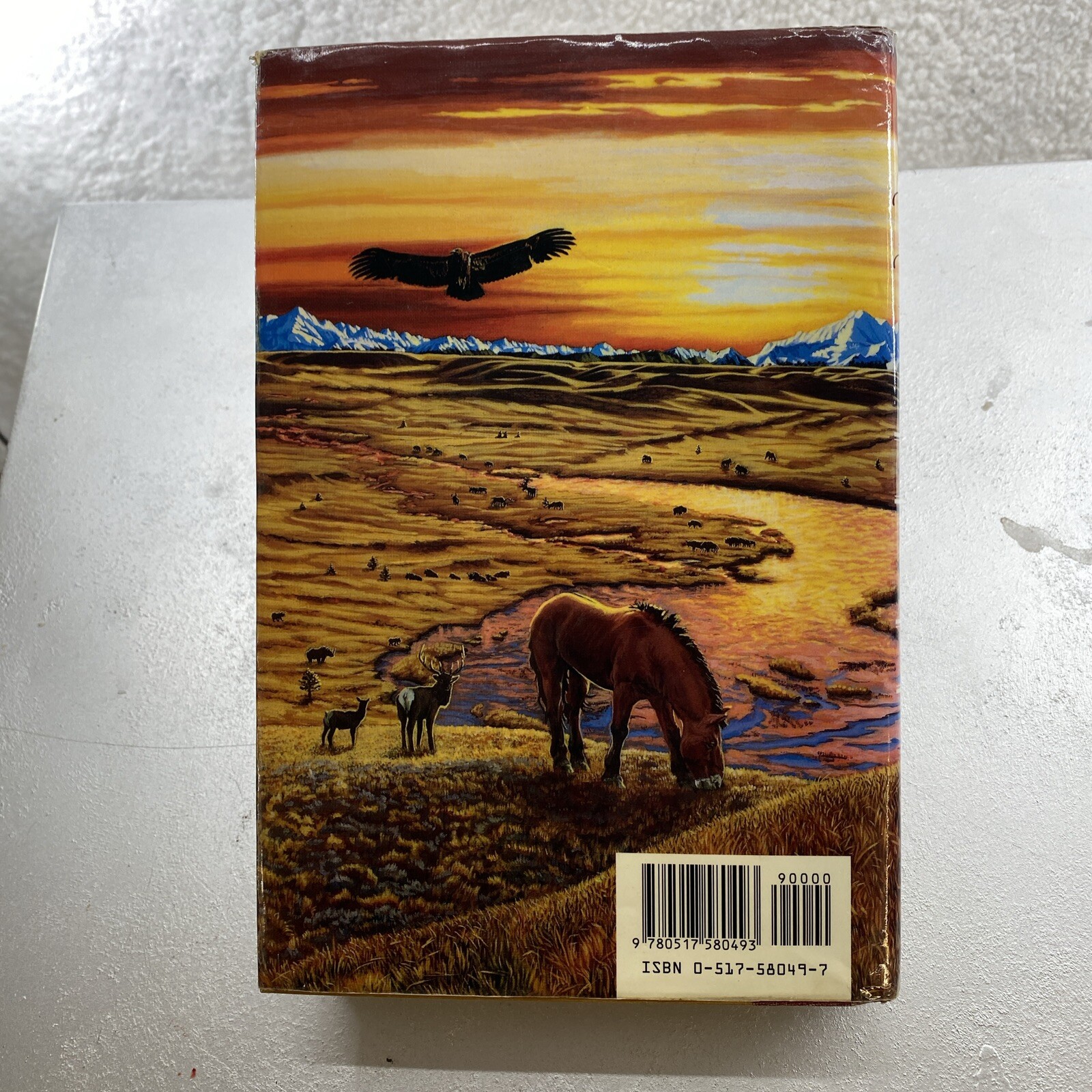 Earth’s Children Ser.: The Plains of Passage by Jean M. Auel (1990, Hardcover)