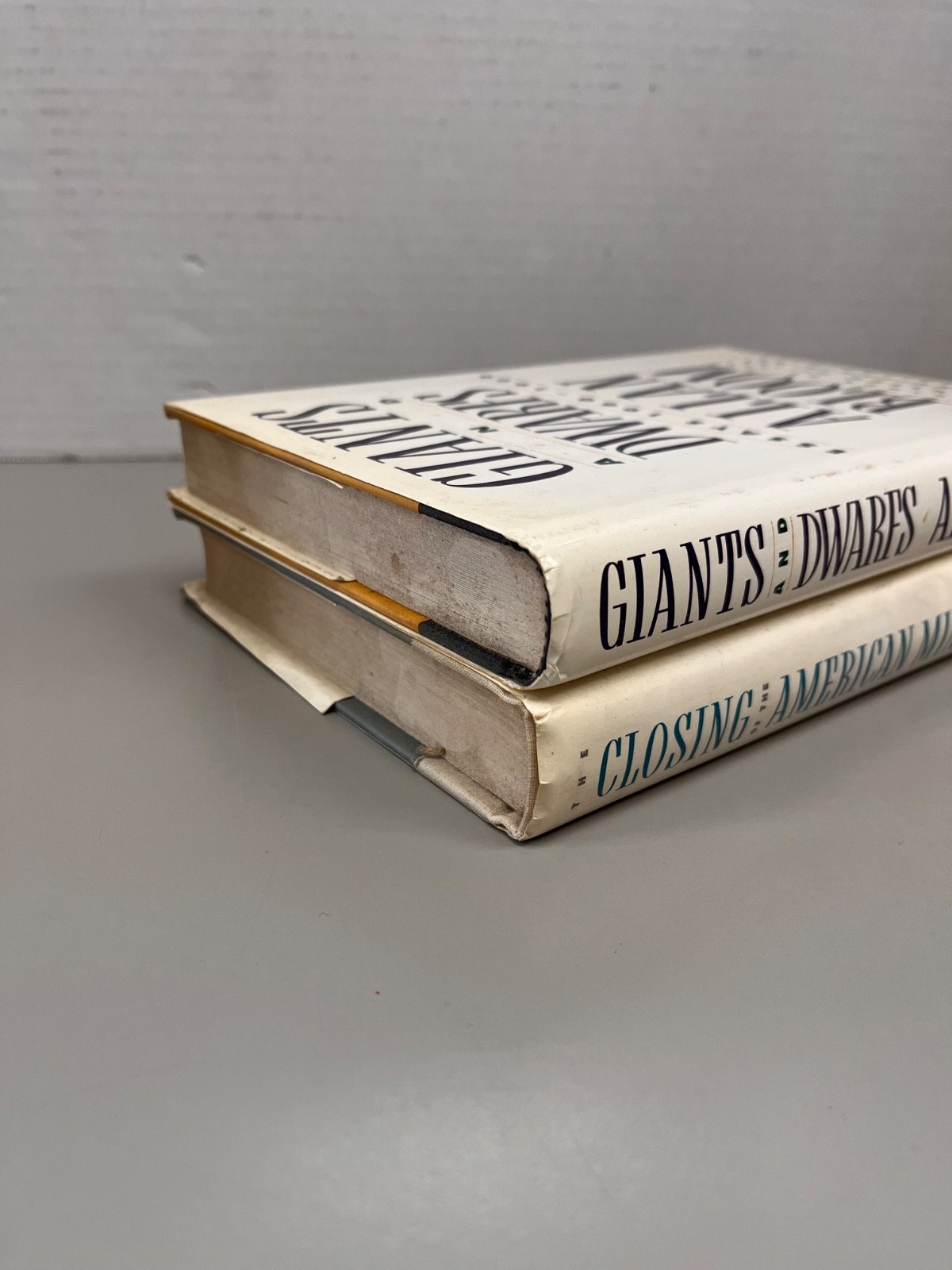 Allan Bloom Lot of 2 Books Hardcover (See Photos for Titles)